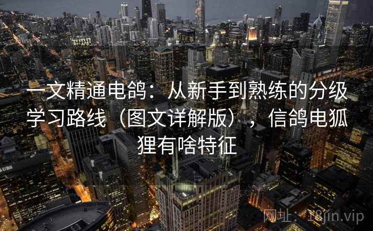 一文精通电鸽：从新手到熟练的分级学习路线（图文详解版），信鸽电狐狸有啥特征