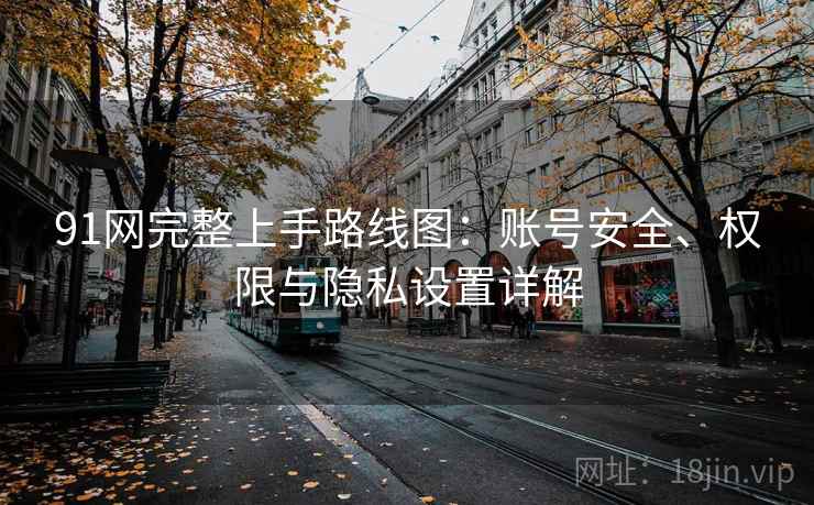 91网完整上手路线图:账号安全、权限与隐私设置详解 91网完整上手路线图:账号安全、权限与隐私设置详解
