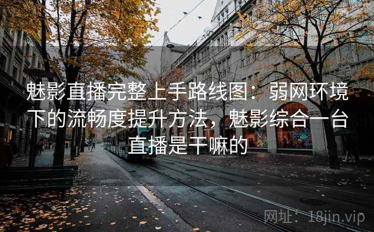魅影直播完整上手路线图：弱网环境下的流畅度提升方法，魅影综合一台直播是干嘛的