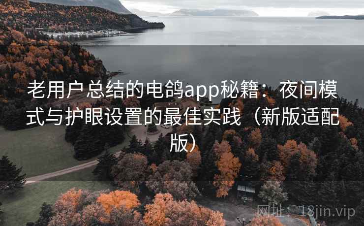 老用户总结的电鸽app秘籍：夜间模式与护眼设置的最佳实践（新版适配版）