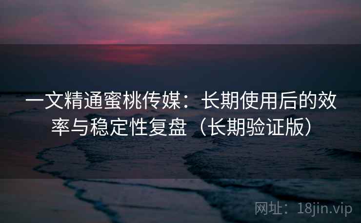 一文精通蜜桃传媒：长期使用后的效率与稳定性复盘（长期验证版）