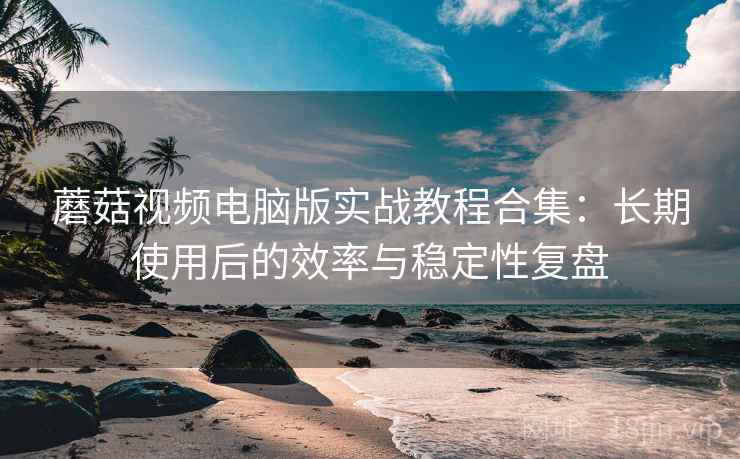 蘑菇视频电脑版实战教程合集：长期使用后的效率与稳定性复盘