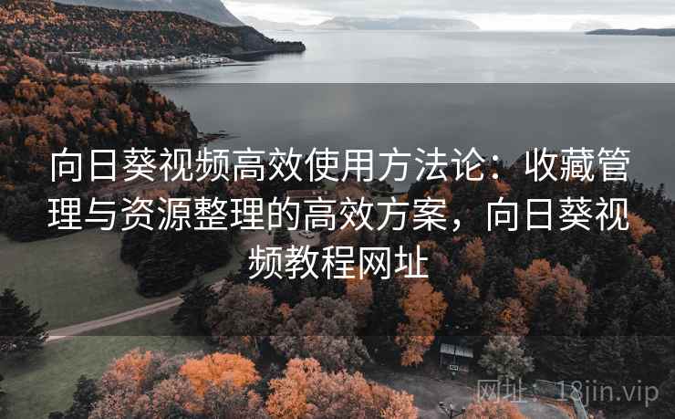 向日葵视频高效使用方法论：收藏管理与资源整理的高效方案，向日葵视频教程网址