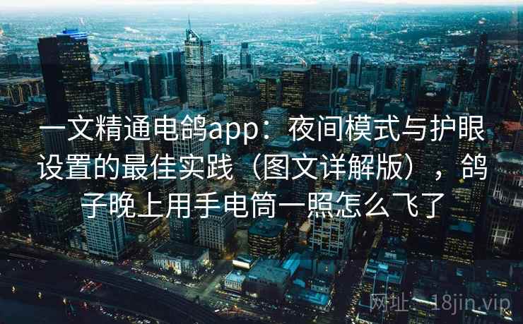 一文精通电鸽app：夜间模式与护眼设置的最佳实践（图文详解版），鸽子晚上用手电筒一照怎么飞了