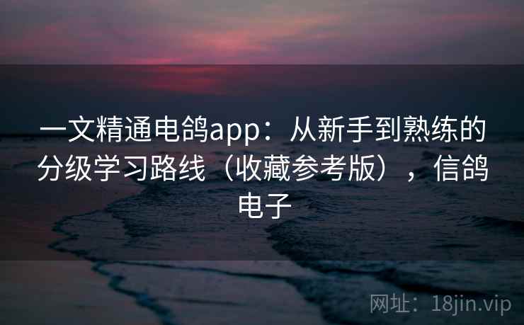 一文精通电鸽app：从新手到熟练的分级学习路线（收藏参考版），信鸽电子