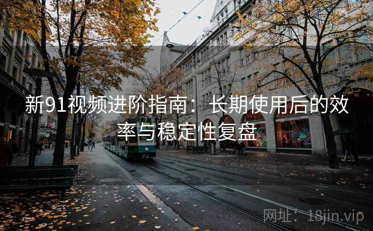 新91视频进阶指南：长期使用后的效率与稳定性复盘