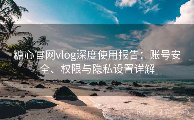糖心官网vlog深度使用报告：账号安全、权限与隐私设置详解