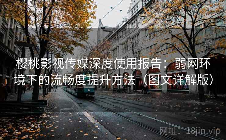 樱桃影视传媒深度使用报告：弱网环境下的流畅度提升方法（图文详解版）
