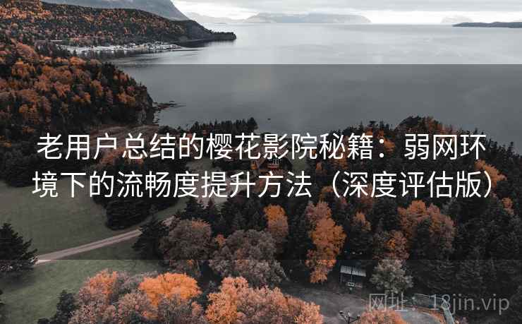 老用户总结的樱花影院秘籍：弱网环境下的流畅度提升方法（深度评估版）