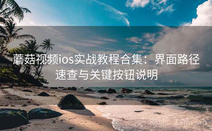 蘑菇视频ios实战教程合集:界面路径速查与关键按钮说明 蘑菇视频ios实战教程合集:界面路径速查与关键按钮说明