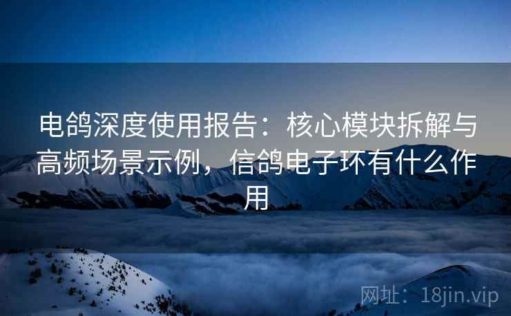 电鸽深度使用报告:核心模块拆解与高频场景示例,信鸽电子环有什么作用 电鸽深度使用报告:核心模块拆解与高频场景示例,信鸽电子环有什么作用