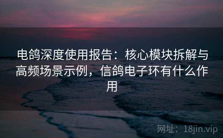 电鸽深度使用报告：核心模块拆解与高频场景示例，信鸽电子环有什么作用
