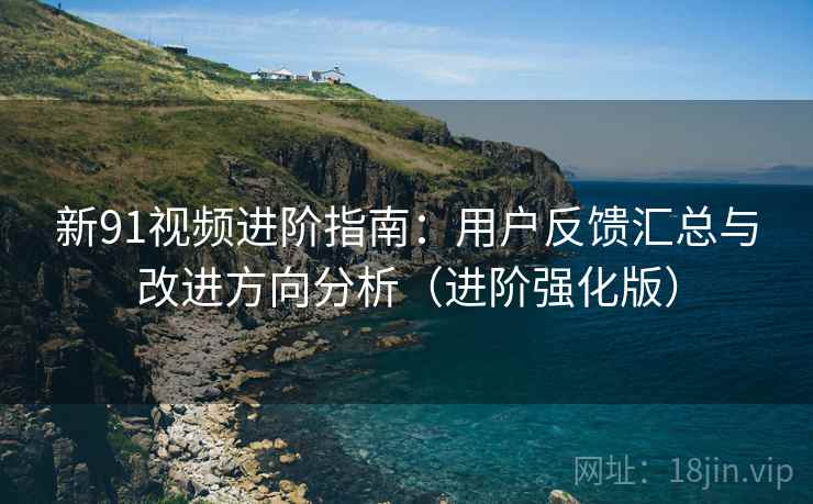 新91视频进阶指南：用户反馈汇总与改进方向分析（进阶强化版）