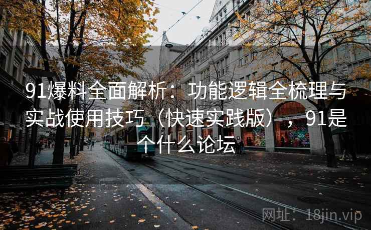 91爆料全面解析：功能逻辑全梳理与实战使用技巧（快速实践版），91是个什么论坛