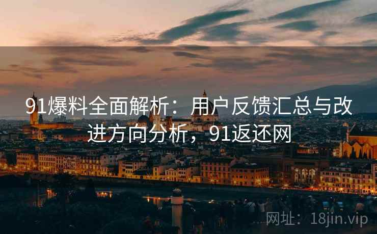 91爆料全面解析:用户反馈汇总与改进方向分析,91返还网 91爆料全面解析:用户反馈汇总与改进方向分析,91返还网