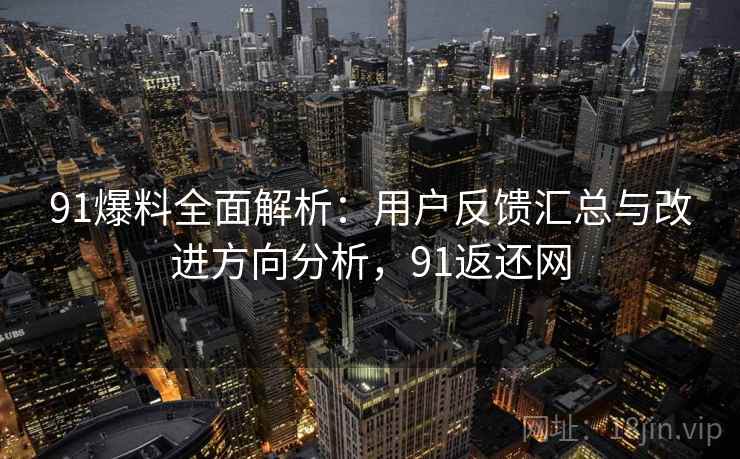 91爆料全面解析：用户反馈汇总与改进方向分析，91返还网